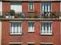  fenêtres, immeuble en brique, plantations sur balcon